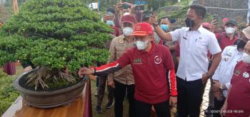 Dirjen Dukcapil Buka Gebyar Bonsai Bumi Sekala Bekhak